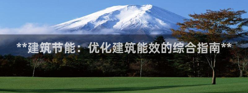e尊国际客户端：**建筑节能：优化建筑能效的综合指南**