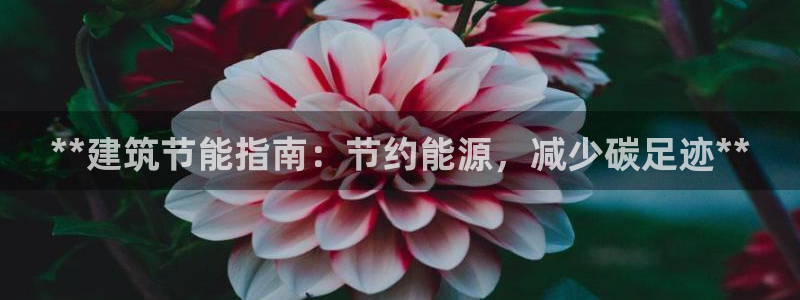 e尊国际平台：**建筑节能指南：节约能源，减少碳足迹**