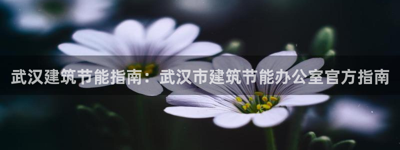 e尊国际是干什么的：武汉建筑节能指南：武汉市建筑节能办公室官方指南