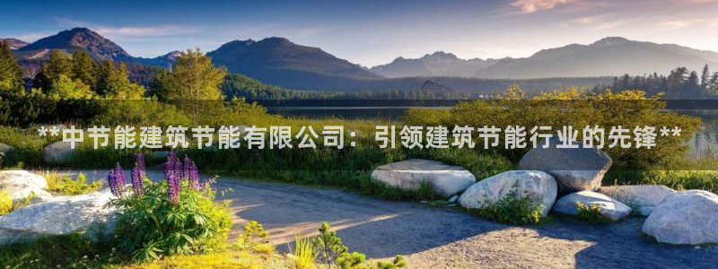 e尊国际平台：**中节能建筑节能有限公司：引领建筑节能行业的先锋**