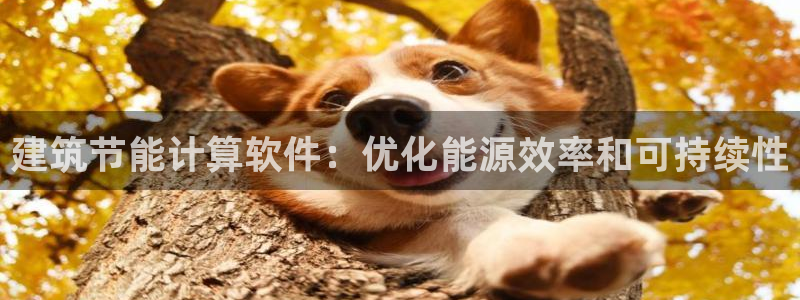 e尊国际平台：建筑节能计算软件：优化能源效率和可持续性