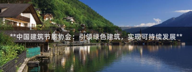 e尊国际官方网站：**中国建筑节能协会：引领绿色建筑，实现可持续发展**
