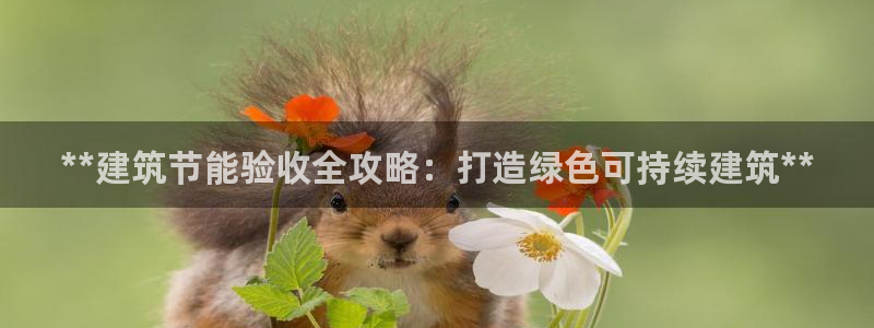 e尊平台：**建筑节能验收全攻略：打造绿色可持续建筑**