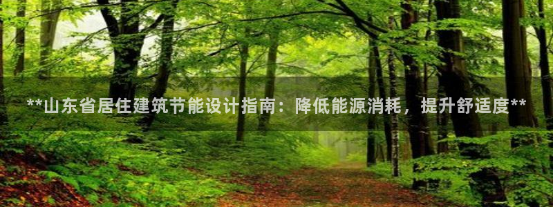 e尊国际客服：**山东省居住建筑节能设计指南：降低能源消耗，提升舒适度**