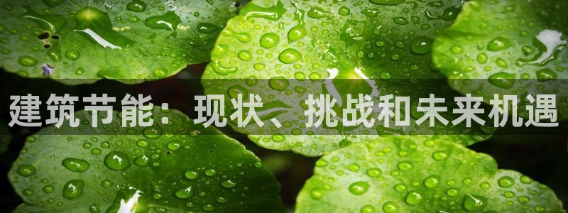 e尊国际官方网站：建筑节能：现状、挑战和未来机遇