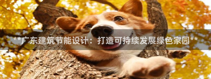 e尊国际客服：**广东建筑节能设计：打造可持续发展绿色家园**