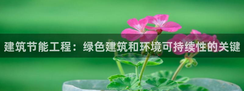 e尊国际娱乐官网地址：建筑节能工程：绿色建筑和环境可持续性的关键