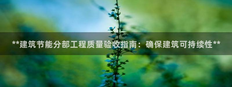 e尊国际娱乐官网地址：**建筑节能分部工程质量验收指南：确保建筑可持续性**