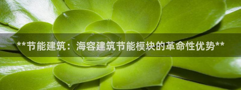 e尊国际官网·网址：**节能建筑：海容建筑节能模块的革命性优势**