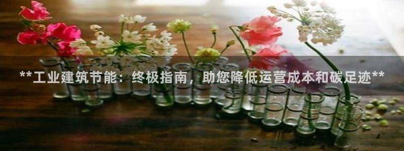 e尊国际娱乐官网地址：**工业建筑节能：终极指南，助您降低运营成本和碳足迹**