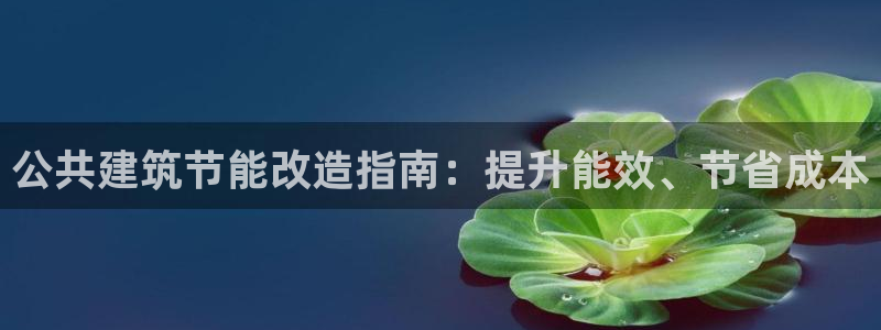 e尊国际是个黑网：公共建筑节能改造指南：提升能效、节省成本