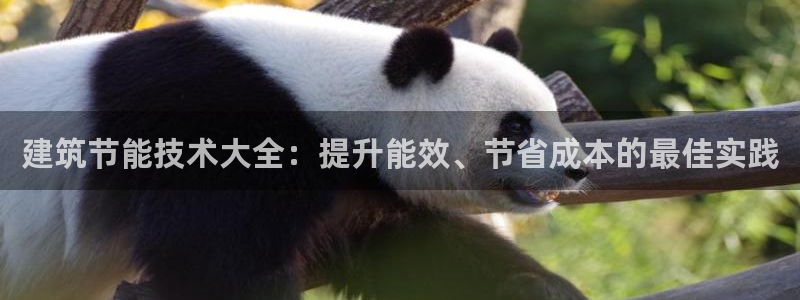 e尊国际-e尊国际官网：建筑节能技术大全：提升能效、节省成本的最佳实践