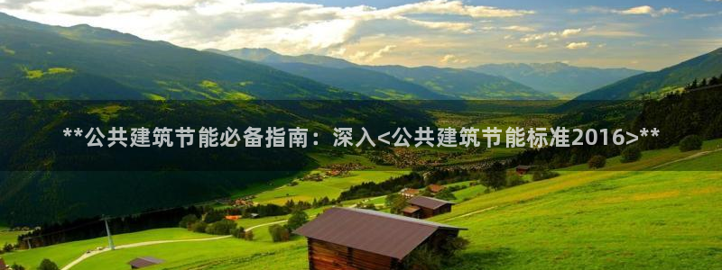 e尊国际官网app：**公共建筑节能必备指南：深入<公共建筑节能标准2016>**