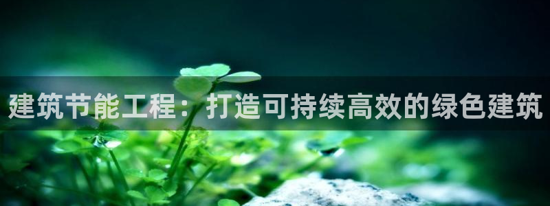 e尊国际的手机登录网站：建筑节能工程：打造可持续高效的绿色建筑