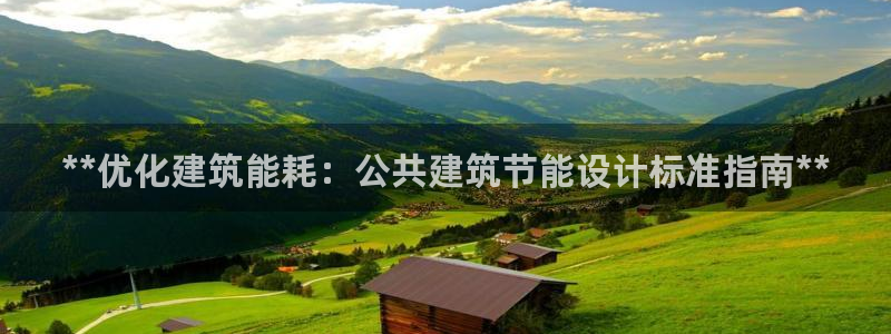 e尊国际是个黑网：**优化建筑能耗：公共建筑节能设计标准指南**