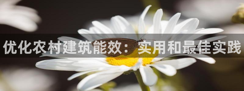 e尊体育：优化农村建筑能效：实用和最佳实践