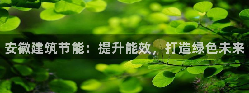 e尊国际地址：安徽建筑节能：提升能效，打造绿色未来