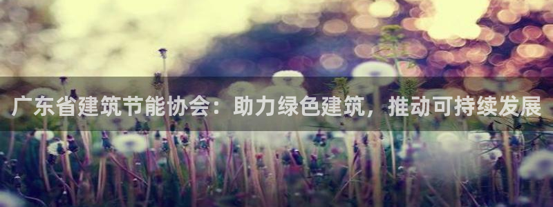 e尊国际官网app：广东省建筑节能协会：助力绿色建筑，推动可持续发展