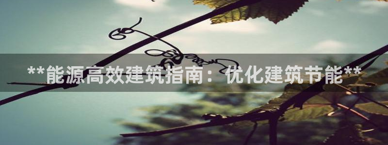 e尊国际是干什么的：**能源高效建筑指南：优化建筑节能**