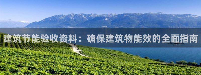 谁知道e尊国际的网址：建筑节能验收资料：确保建筑物能效的全面指南