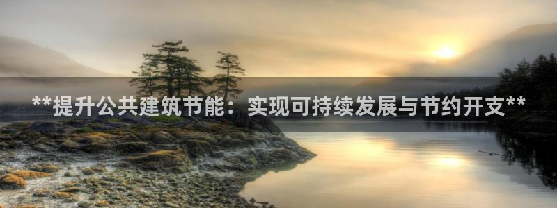 e尊国际网址：**提升公共建筑节能：实现可持续发展与节约开支**