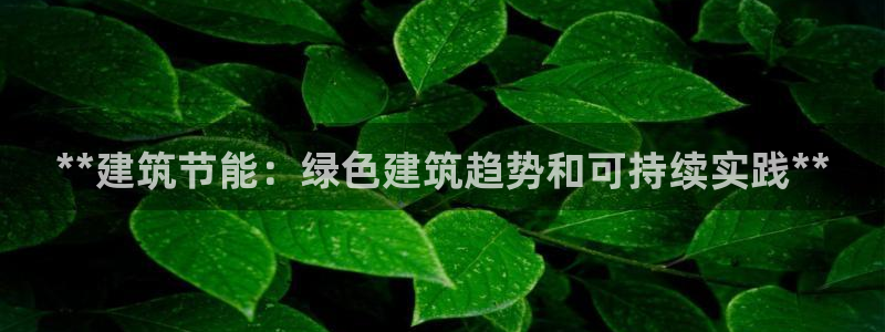 e尊国际客服：**建筑节能：绿色建筑趋势和可持续实践**