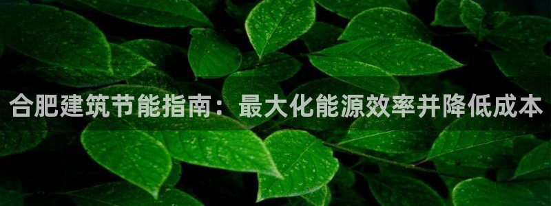 e尊国际是干什么的：合肥建筑节能指南：最大化能源效率并降低成本