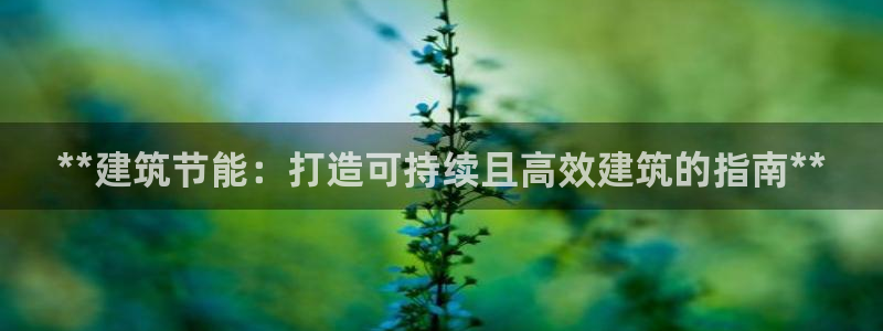E尊国际：**建筑节能：打造可持续且高效建筑的指南**