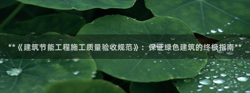 E尊国际网站：**《建筑节能工程施工质量验收规范》：保证绿色建筑的终极指南**