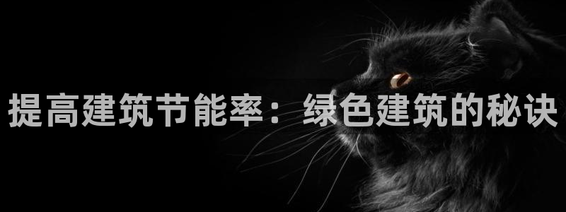 e尊国际-e尊国际官网