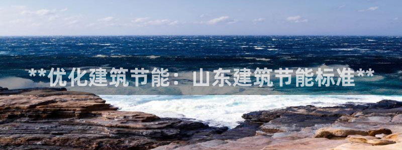 e尊国际是干什么的：**优化建筑节能：山东建筑节能标准**