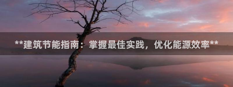 e尊国际网址：**建筑节能指南：掌握最佳实践，优化能源效率**