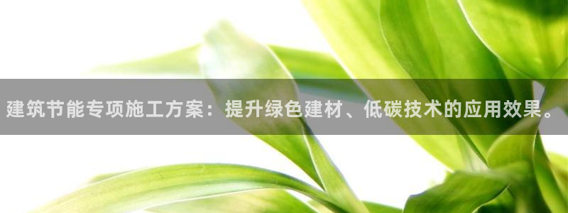 e尊国际客服：建筑节能专项施工方案：提升绿色建材、低碳技术的应用效果。