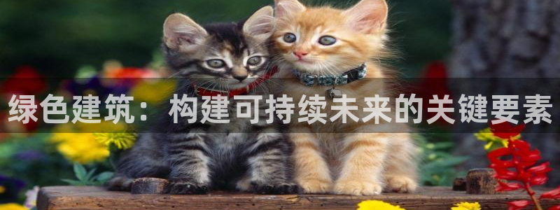 e尊国际-可可计划
