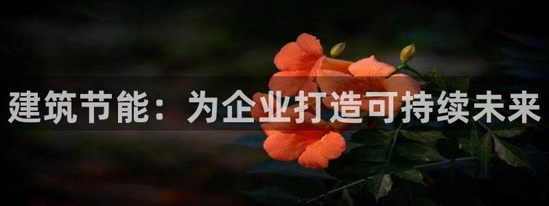 e尊国际官方网站