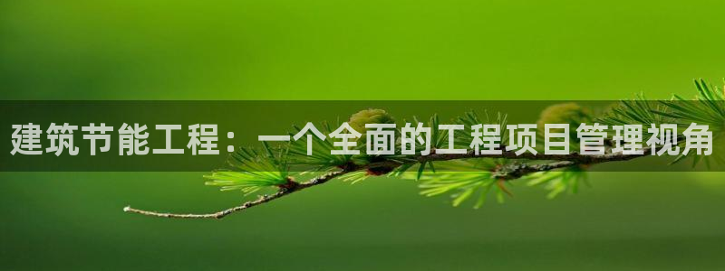 e尊国际是个黑网：建筑节能工程：一个全面的工程项目管理视角