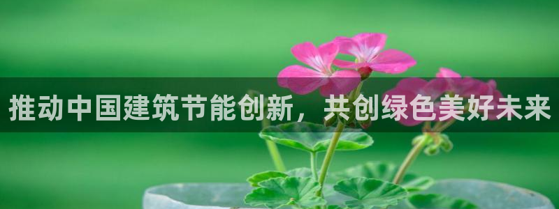 e尊国际娱乐官网地址：推动中国建筑节能创新，共创绿色美好未来