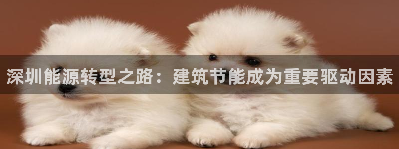 e尊国际是干什么的
