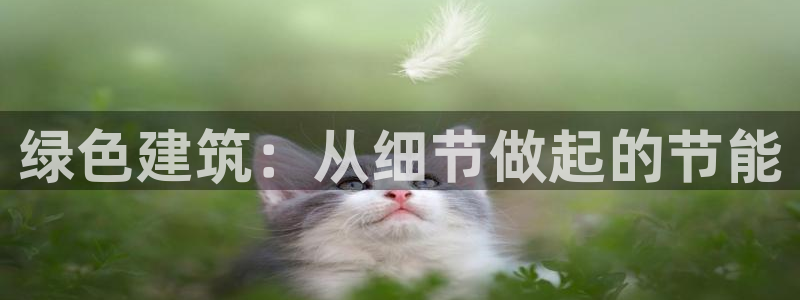 e尊国际7779：绿色建筑：从细节做起的节能