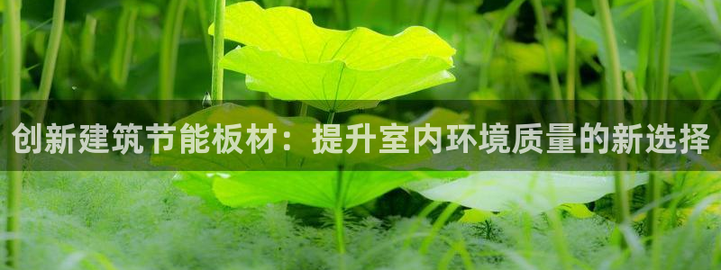 e尊国际的手机登录网站：创新建筑节能板材：提升室内环境质量的新选择