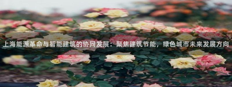 e尊国际app：上海能源革命与智能建筑的协同发展：聚焦建筑节能，绿色城市未来发展方向