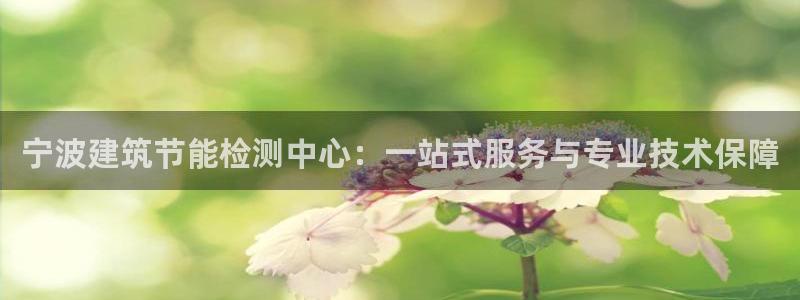 尊亿游戏国际官网：宁波建筑节能检测中心：一站式服务与专业技术保障
