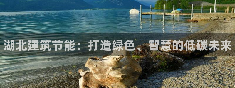 e尊国际娱乐官网地址：湖北建筑节能：打造绿色、智慧的低碳未来