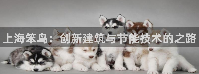 e尊国际官网·网址：上海笨鸟：创新建筑与节能技术的之路