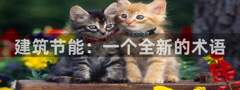e尊国际7779：建筑节能：一个全新的术语