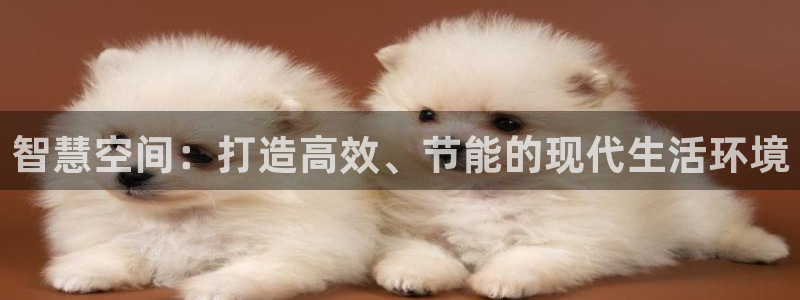 e尊国际可靠吗：智慧空间：打造高效、节能的现代生活环境