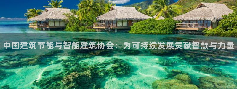 e尊国际-e尊国际官网：中国建筑节能与智能建筑协会：为可持续发展贡献智慧与力量