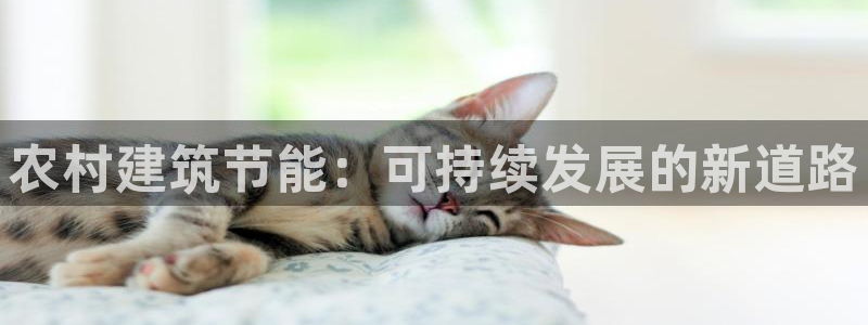 e尊国际客户端下载：农村建筑节能：可持续发展的新道路