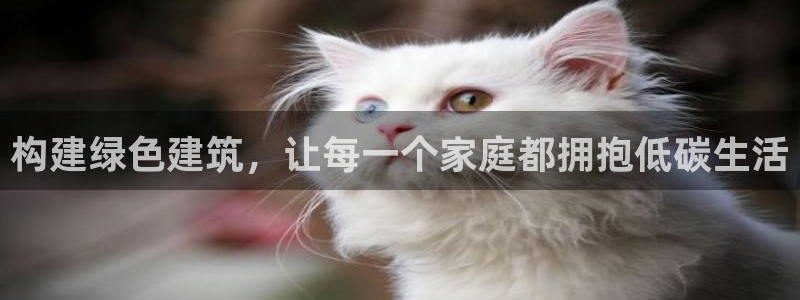 e尊国际官网·网址：构建绿色建筑，让每一个家庭都拥抱低碳生活