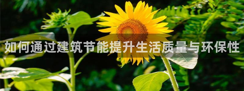 e尊国际-e尊国际官网：如何通过建筑节能提升生活质量与环保性
